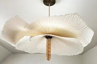 L'Aparté à 5min de la plage de Hardelot - 1