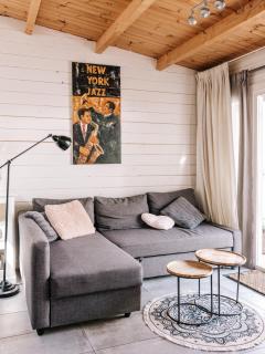 Rosa's Cottage, garden and free parking - Zandvoort - 8