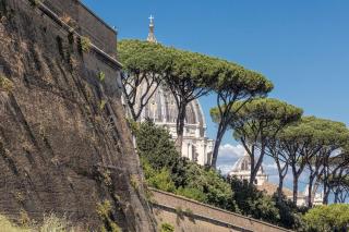 Appartamento Vatican Terrace - Roma - 9