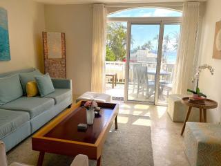 Spectacular Penthouse Ocean Views. Playa Bavaro. Punta Cana - Punta Cana - 7