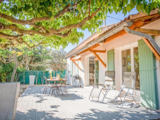 La petite Sorgues - Sorgues - 6