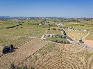 La petite Sorgues - Sorgues - 8