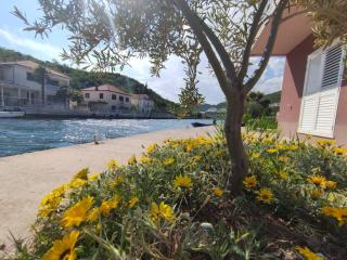 Apartments with parking spaces Rogotin, Neretva Delta - Usce Neretve - 23141 - Rogotin - 3
