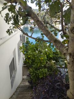 Apartments by the sea Zaglav, Dugi otok - 23204 - 3