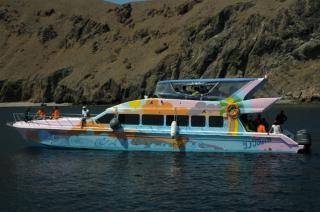 Top Joydays Tour - Labuan Bajo - 0