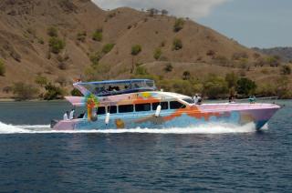 Top Joydays Tour - Labuan Bajo - 2