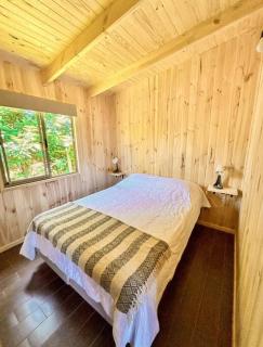 Cabañas aires del sur - Panguipulli - 8