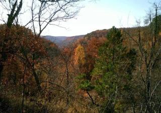 Baca Cabin Near Compton, Ponca, Buffalo River, Trails - Compton - 2