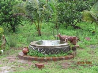 MARS Jungle Adventure Stud Farm with Private Jacuzzi - - 8