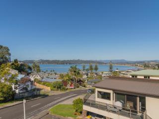 Centennial Seascape - Whitianga Holiday Home - Whitianga - 4