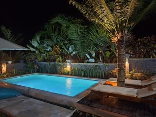 Bali Village Villa - 4