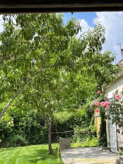 Endroit charmant - Coulommiers - 7