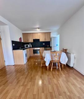 Bridge View Apartment - Waterford - 8