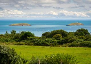 Cae Cerrig Uchaf - Llanbedrog - 9