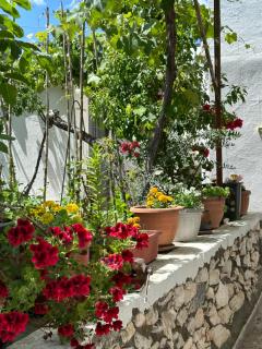 Kate's Guesthouse - Theologos - 6