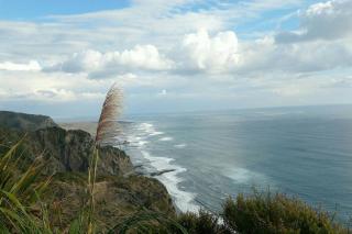 Ahu - Piha - 5