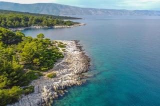 Dragana - Basina - 9