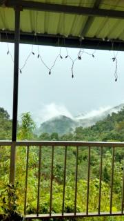 Neav at The Misty Valley - Kakkadampoyil - 2