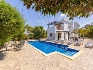 Angel Villa - Ayia Napa - 0
