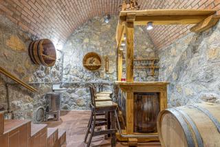 Vineyard Homestead Vrtin - Happy Rentals - Dragatuš - 7