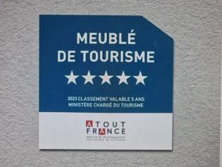 Villa 5*, 15 personnes, Piscine à 20 min de Genève - Juvigny - 3