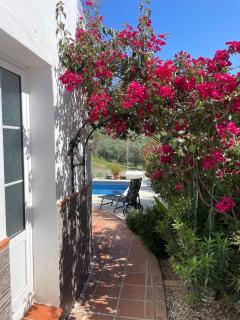 Casa Emiliana - El Cerro - 7