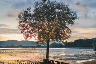 The Mangrove Phuket by Blu Monkey - 3