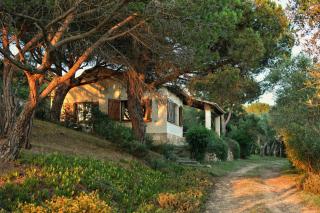 La Barraca de Farena - Palafrugell - 9
