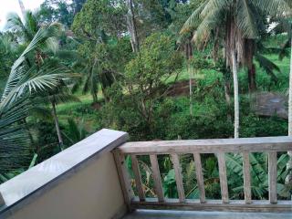 Wiguna house - Ubud - 5