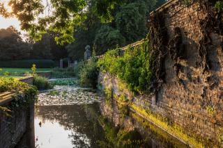 Bosworth Hall Hotel & Spa - Market Bosworth - 7