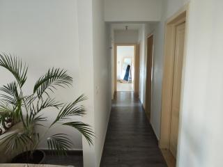 Luxurious 2 bedroom modern garden apartment Available ensuite private bedroom or whole flat privately - 3