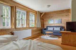 Harzer Wiesenbaude mit Gartensauna - Braunlage - 3