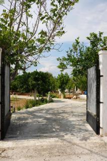 4our seasons 2 - Private Pool - Áyioi Apóstoloi - 7