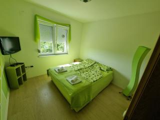 Vila MINJA - Sokobanja - 2