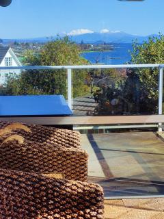 Delight in Birch-Lake View Holiday Home - Taupo - 1