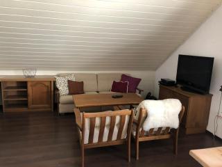 Big apartment, 72m2, nature paradise, swiming pool, table tennis, therme - 8