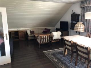 Big apartment, 72m2, nature paradise, swiming pool, table tennis, therme - 4