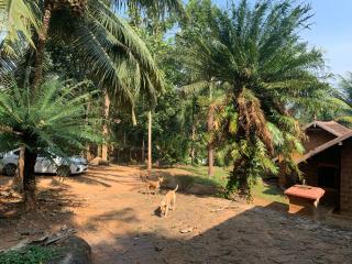 Shantam- Peace has an address now! - Cheruthuruthi - 7