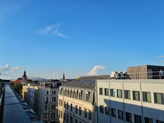 Über den Dächern Leipzigs - hochwertiges Apartment mit Dachterrasse im Zentrum Leipzigs - Leipzig - 9