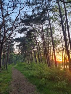 La casa de los Kasa apartament 2 - Dziwnów - 3