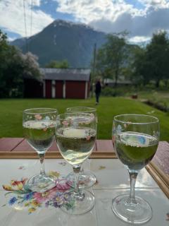 Aobrio Holidayhouse, authentic norwegian farmhouse close to Flåm - Lærdalsøyri - 8