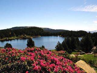 Studio cabine mezzanine avec parking, vue Pyrénées - FR-1-580-26 - 1
