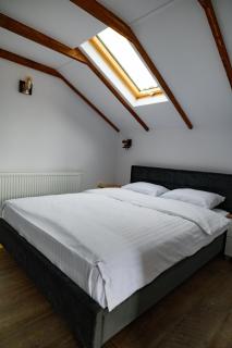 Luxury attic - Curtea de Argeş - 4