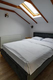 Luxury attic - Curtea de Argeş - 2