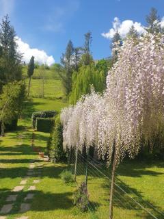 B&B Tenuta Campo Magliano - 7