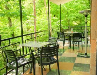 Peaceful 2 Bed Cottage in Dilijan Forest - Opus 11 - 1