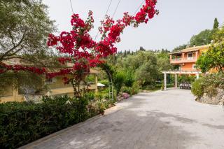 Lazaros apartments - Gouvia - 7