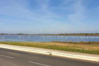 Superbe appartement au cœur du village - Marseillan - 6