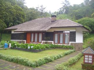 Puncak Pass Resort - 7