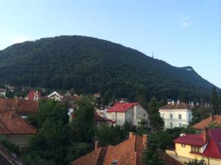 Cozy apartment Brasov - Braşov - 8